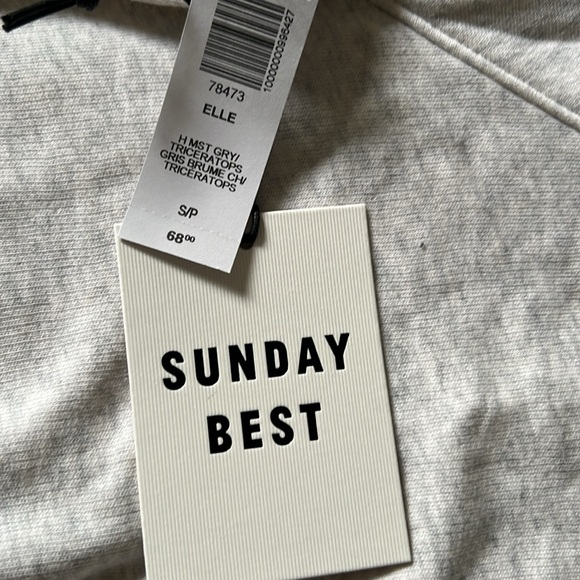 Aritzia Sunday Best Elle Dinosaur Cropped Crewneck Sweatshirt - Picture 3 of 7